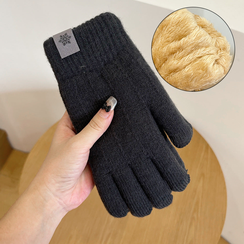 Men's Winter Double Layer Fleece-lined Thick Windproof Touch Gloves