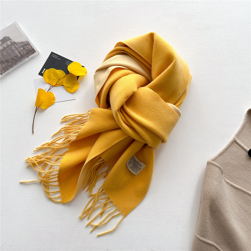 Women's Double-sided Artificial Cashmere Shawl Korean Simple Scarfs