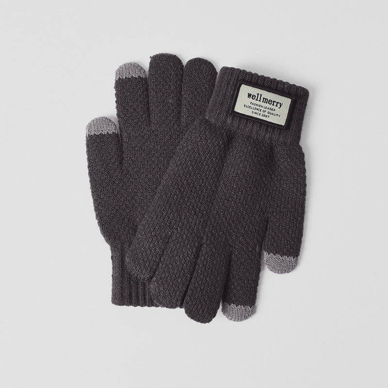 Men's Winter Fleece-lined Thickened Warm Korean Style Gloves