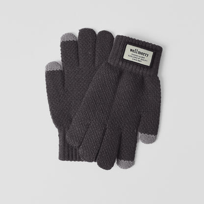 Men's Winter Fleece-lined Thickened Warm Korean Style Gloves