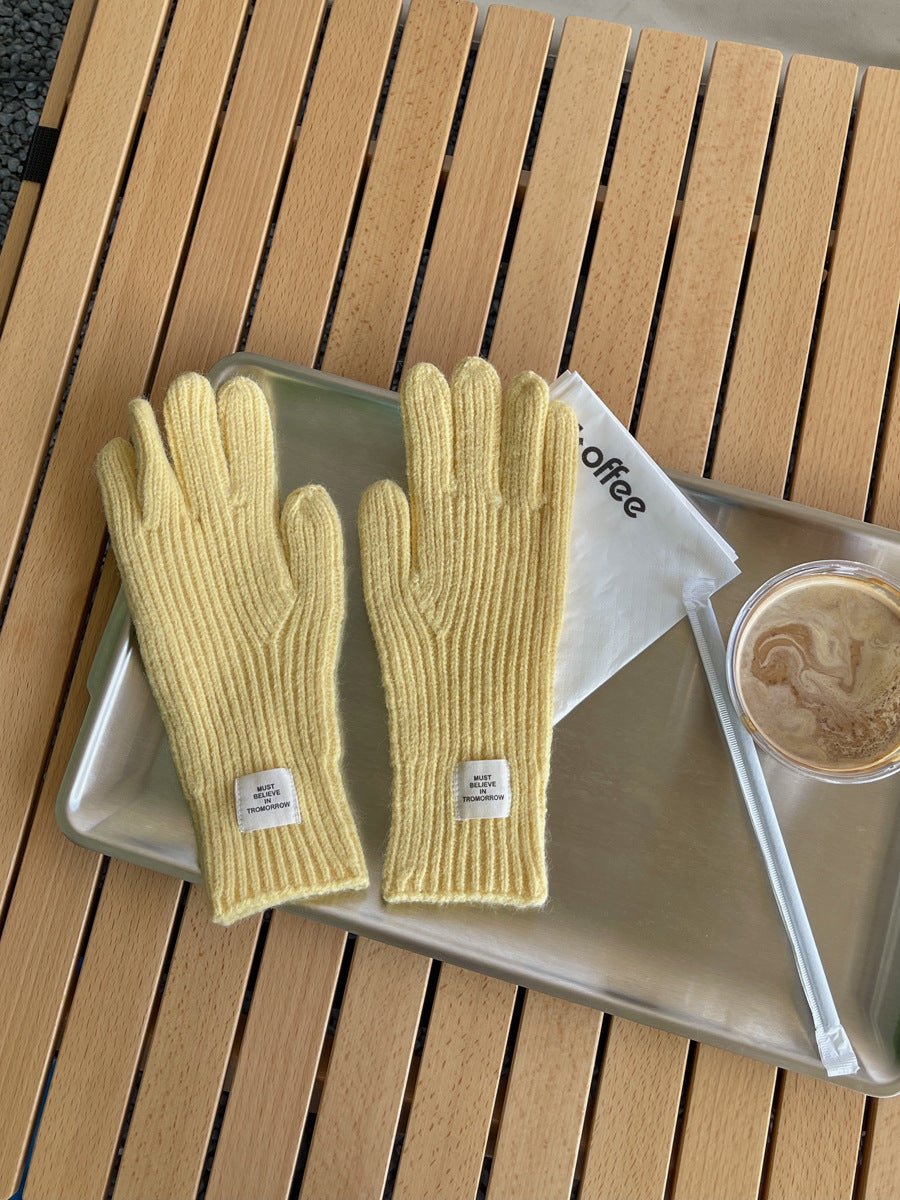 Women's Wool Knitted Cute Winter Warm Touch Gloves