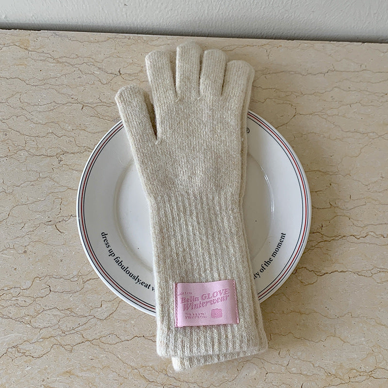 Women's Knitted Long Winter Windproof Five-finger Warm Gloves