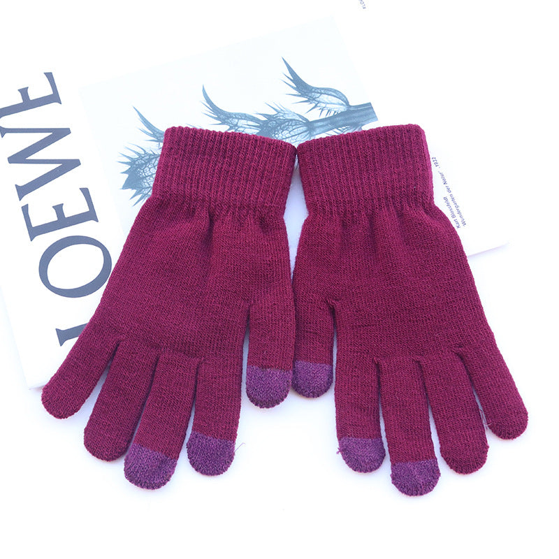 Solid Color Winter Outdoor Fleece-lined Touch Gloves