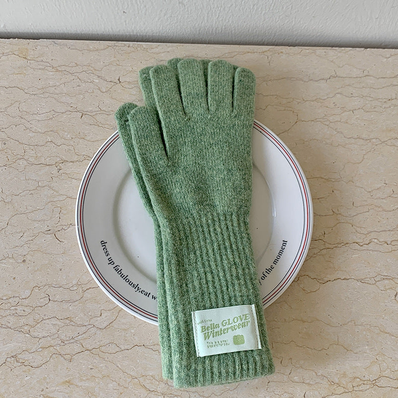 Women's Knitted Long Winter Windproof Five-finger Warm Gloves