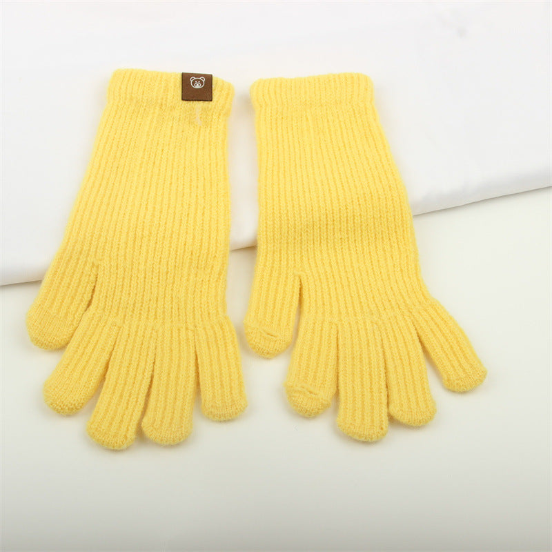 Women's Fashionable Knitted Knitting Wool Winter Warm Lengthened Wrist Gloves