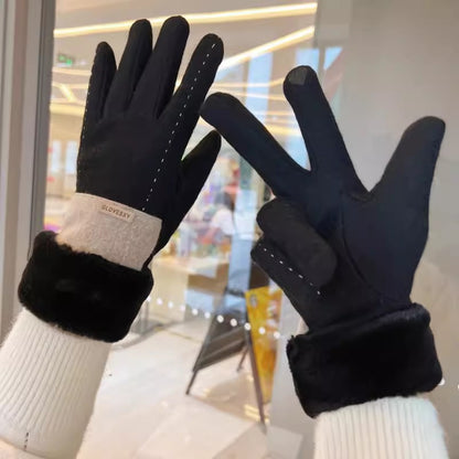 Women's For Winter Fleece-lined Thick Suede Touch Gloves