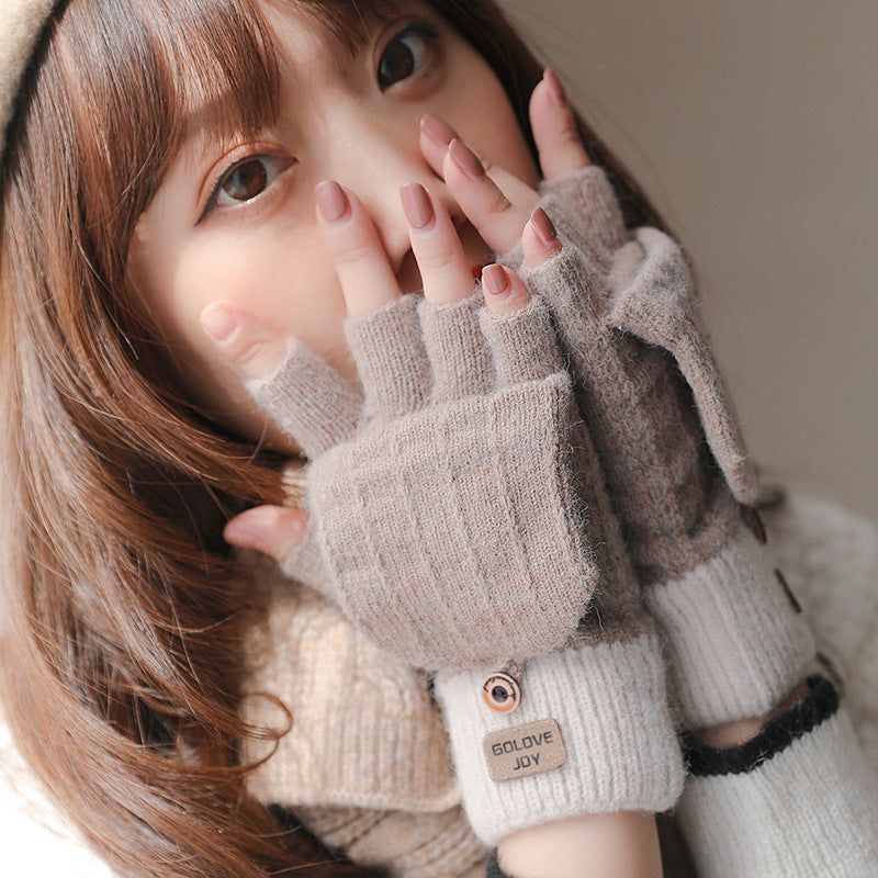 Women's Korean Fleece-lined Warm Touch Screen Cold Protection Gloves