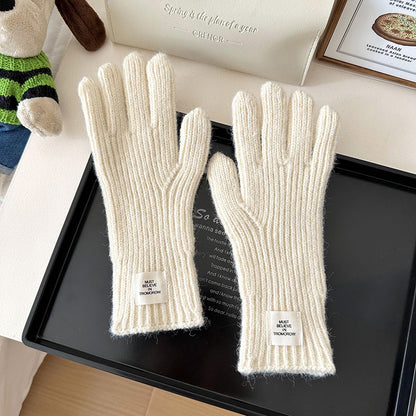 Women's Winter Solid Color Knitted Korean Style Thickened Touch Gloves