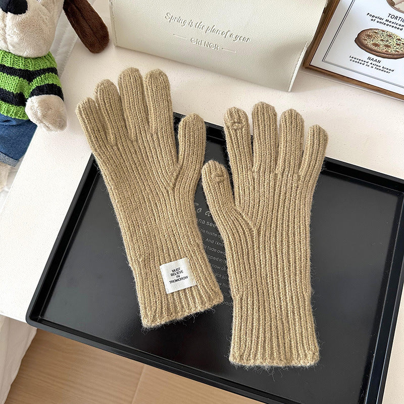 Women's Winter Solid Color Knitted Korean Style Thickened Touch Gloves