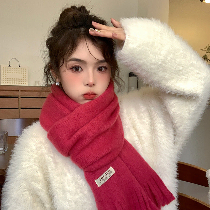 Women's Korean Style Solid Color Tassel Fleece-lined Scarfs