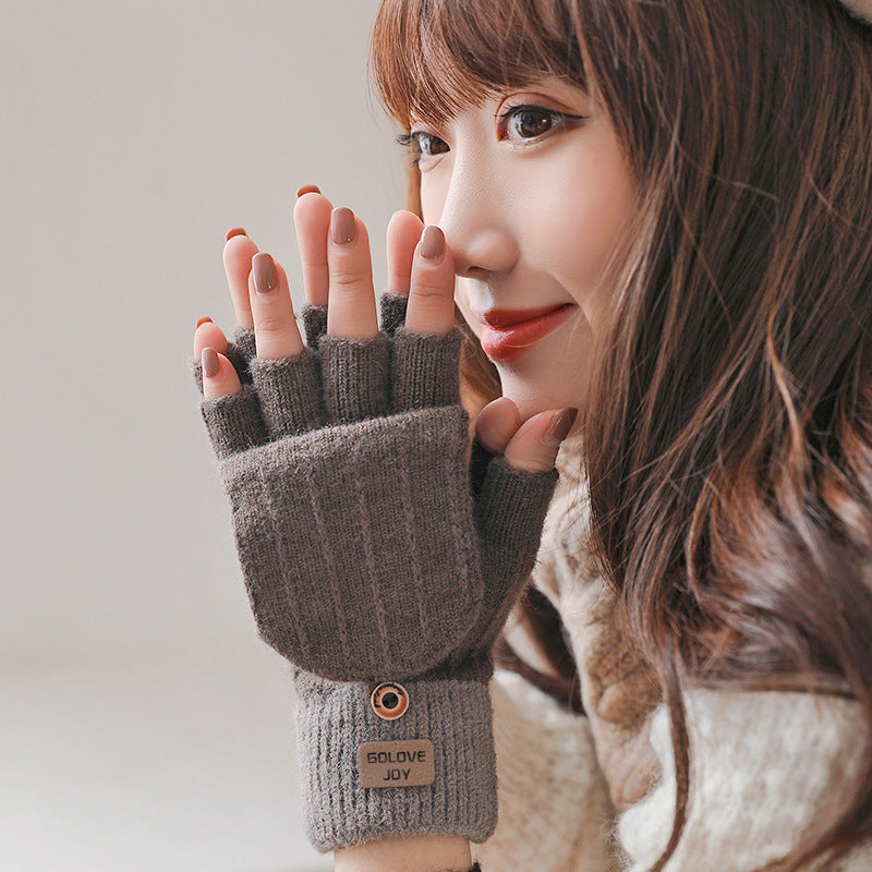 Women's Korean Fleece-lined Warm Touch Screen Cold Protection Gloves