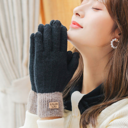 Women's Korean Fleece-lined Warm Touch Screen Cold Protection Gloves