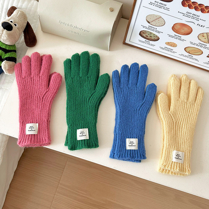 Women's Winter Solid Color Knitted Korean Style Thickened Touch Gloves