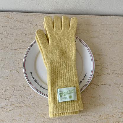 Women's Knitted Long Winter Windproof Five-finger Warm Gloves