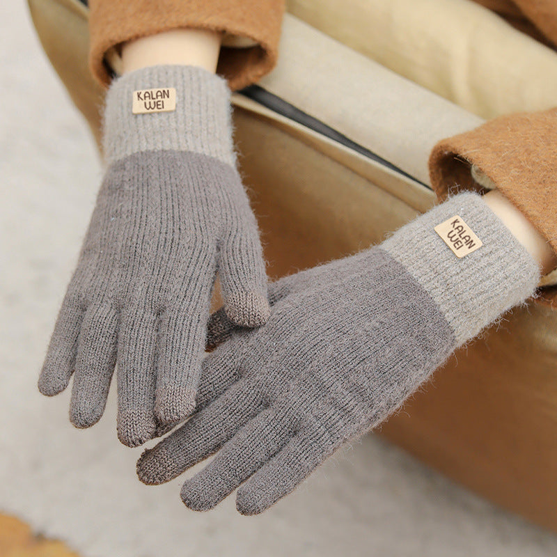 Women's Korean Fleece-lined Warm Touch Screen Cold Protection Gloves