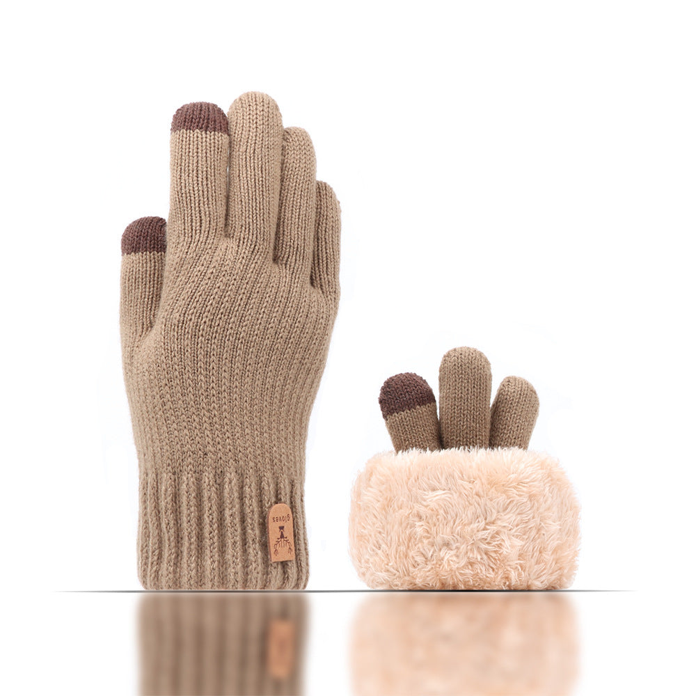 Men's Thickened Fleece-lined Winter Touch Screen Warm Gloves