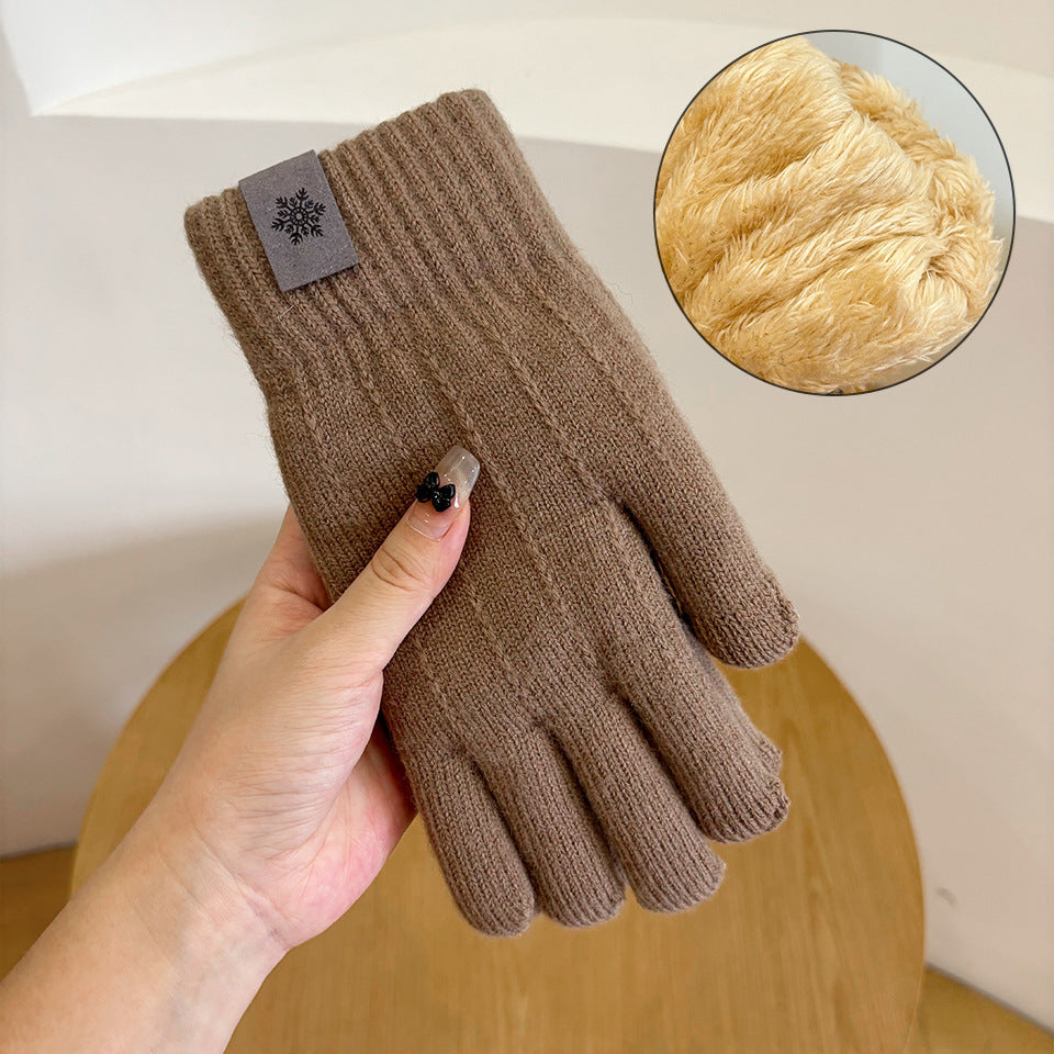 Men's Winter Double Layer Fleece-lined Thick Windproof Touch Gloves