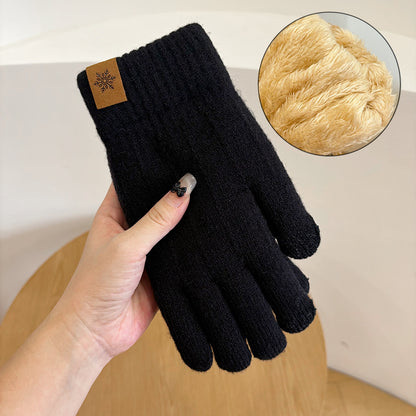 Men's Winter Double Layer Fleece-lined Thick Windproof Touch Gloves