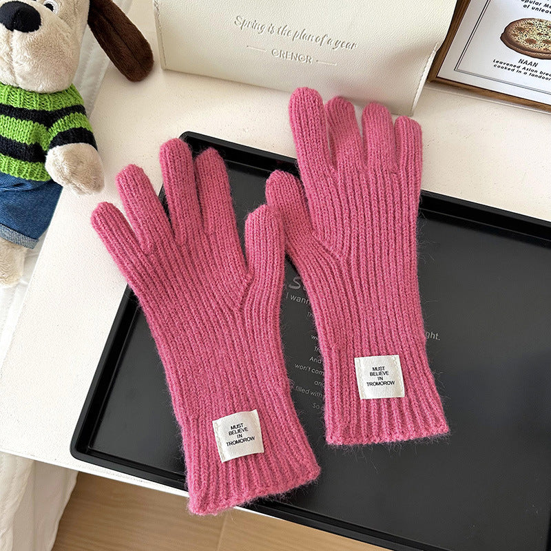 Women's Winter Solid Color Knitted Korean Style Thickened Touch Gloves